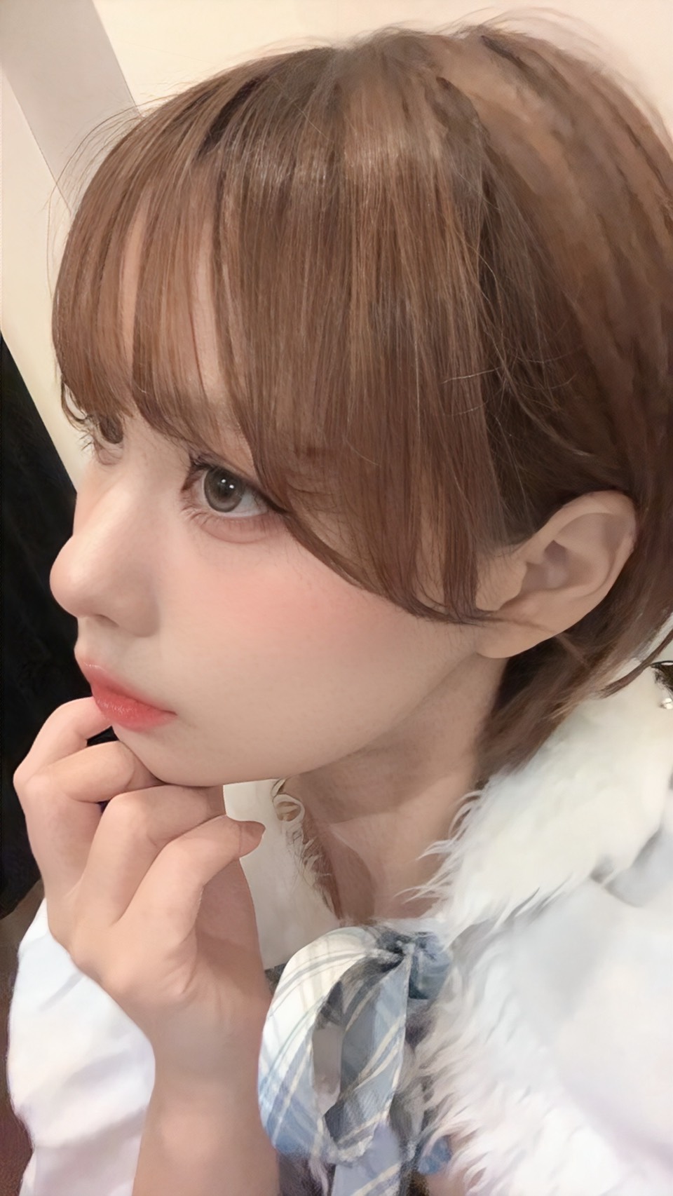 源ほたるの画像